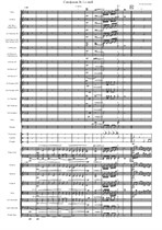 Симфония No.1 – 1 часть (для симфонического оркестра)